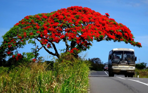 Private Tours